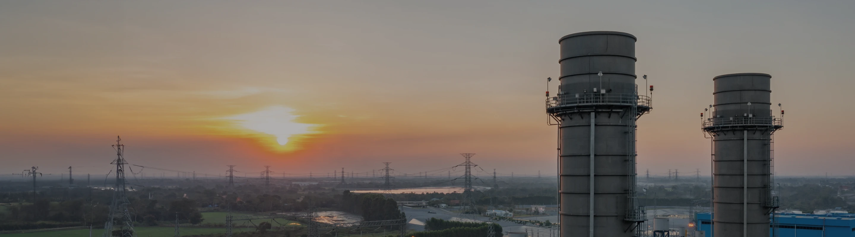 การเยี่ยมชมกิจการ